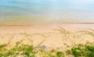 Beautiful Beachfront Land for Sale in Taling Ngam-9