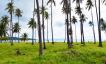Beautiful Beachfront Land for Sale in Taling Ngam-11