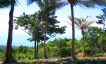 Beautiful Sea view Land for Sale in Bang Por Hills-5