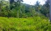 Koh Samui Sea View Land for Sale in Chaweng Noi-8