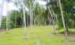 Charming Flat Coconut Land Plot for Sale in Lipa Noi-8