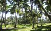 Charming Flat Coconut Land Plot for Sale in Lipa Noi-7