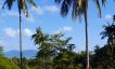 Beautiful Sea-view Land Plot for Sale in Bangrak Hillside-9
