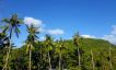Beautiful Sea-view Land Plot for Sale in Bangrak Hillside-7