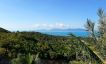 Panoramic Sea view Land for Sale on Bophut Hillside-17