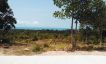 Affordable Sea-view Land Plots for Sale in Koh Phangan-10