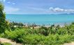 Koh Samui Beautiful Sea-view Land for Sale in Bangpor-6