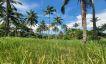 30 Rai Koh Samui Prime Land for Sale in Taling Ngam-37