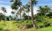 30 Rai Koh Samui Prime Land for Sale in Taling Ngam-31