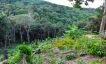 Peaceful Flat Land for Sale with Waterfall in Maenam-10