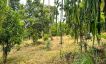 Affordable Sea-view Flat Land for Sale in Bangrak-11