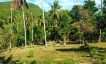 Affordable Sea-view Flat Land for Sale in Bangrak-10