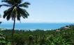 Stunning Sea View Land Plots for Sale in Ban Makham-15