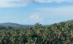 Tropical 1 Rai Land for Sale in Peaceful Maenam-9