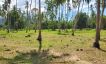 Prime 21 Rai Chanote Land for Sale in Ban Kao-15