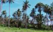 Prime 21 Rai Chanote Land for Sale in Ban Kao-14