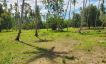 Prime 21 Rai Chanote Land for Sale in Ban Kao-16