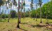 Prime 21 Rai Chanote Land for Sale in Ban Kao-9