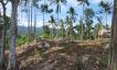 Panoramic Sunset Sea-view Land for Sale in Haad Yao-31