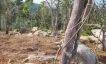 Panoramic Sunset Sea-view Land for Sale in Haad Yao-29