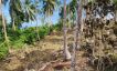 Ultra Premium Sea View Sunset View Land in Haad Yao-18