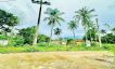 Affordable Investment Land + House for Sale in Bophut-17