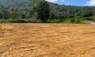 1 Rai Flat Land for Sale in Quiet Part of Maenam-7