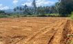 1 Rai Flat Land for Sale in Quiet Part of Maenam-6