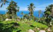 Rare Dual Beach View 180° Sea View Land in Haad Yao-8