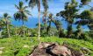 Rare Dual Beach View 180° Sea View Land in Haad Yao-10