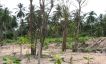 Peaceful Koh Samui Land for Sale in Taling Ngam-7