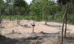 Peaceful Koh Samui Land for Sale in Taling Ngam-6