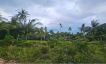 Tropical View Peaceful Land for Sale in Koh Phangan-8