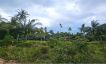 Tropical View Peaceful Land for Sale in Koh Phangan-11