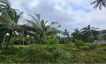 Tropical View Peaceful Land for Sale in Koh Phangan-9