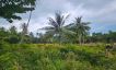 Tropical View Peaceful Land for Sale in Koh Phangan-7