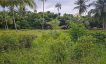 Tropical View Peaceful Land for Sale in Koh Phangan-10