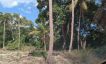 Prime Beachfront Land for Sale in Maenam-9