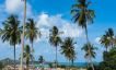 Modern 3 Bed Sea & Mountain View Villas in Lamai-26