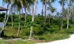 Peaceful Plot of Freehold Land by Samui Golf Course-6