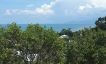 Premium Sunrise Sea view Land on Lamai Hillside-14