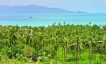 Unique Panoramic Sea View Land in Beautiful Bophut-8