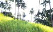 Prime Sea view Land Plots For Sale in Bophut Hills-13